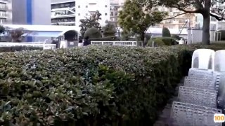 国产日韩亚洲色,秋季的学生妹的黄片穿长裤子的学生妹黄片播放 三